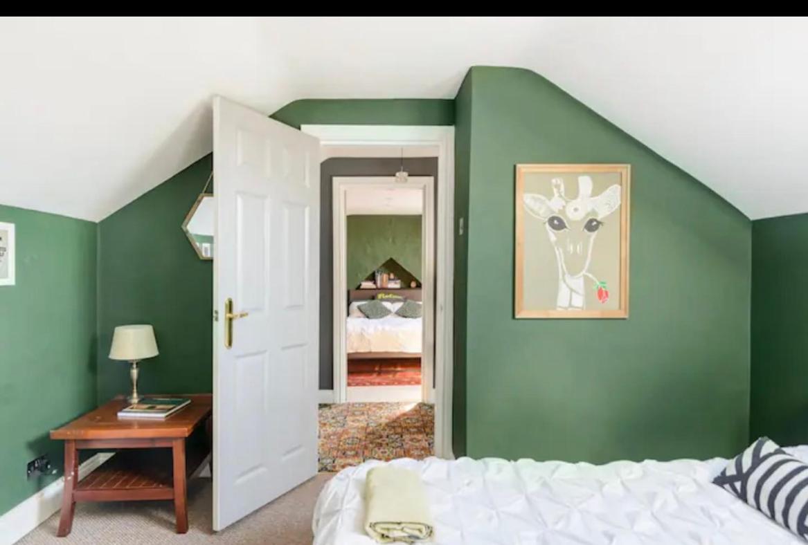Gorgeous Homestay Belfast Exteriör bild